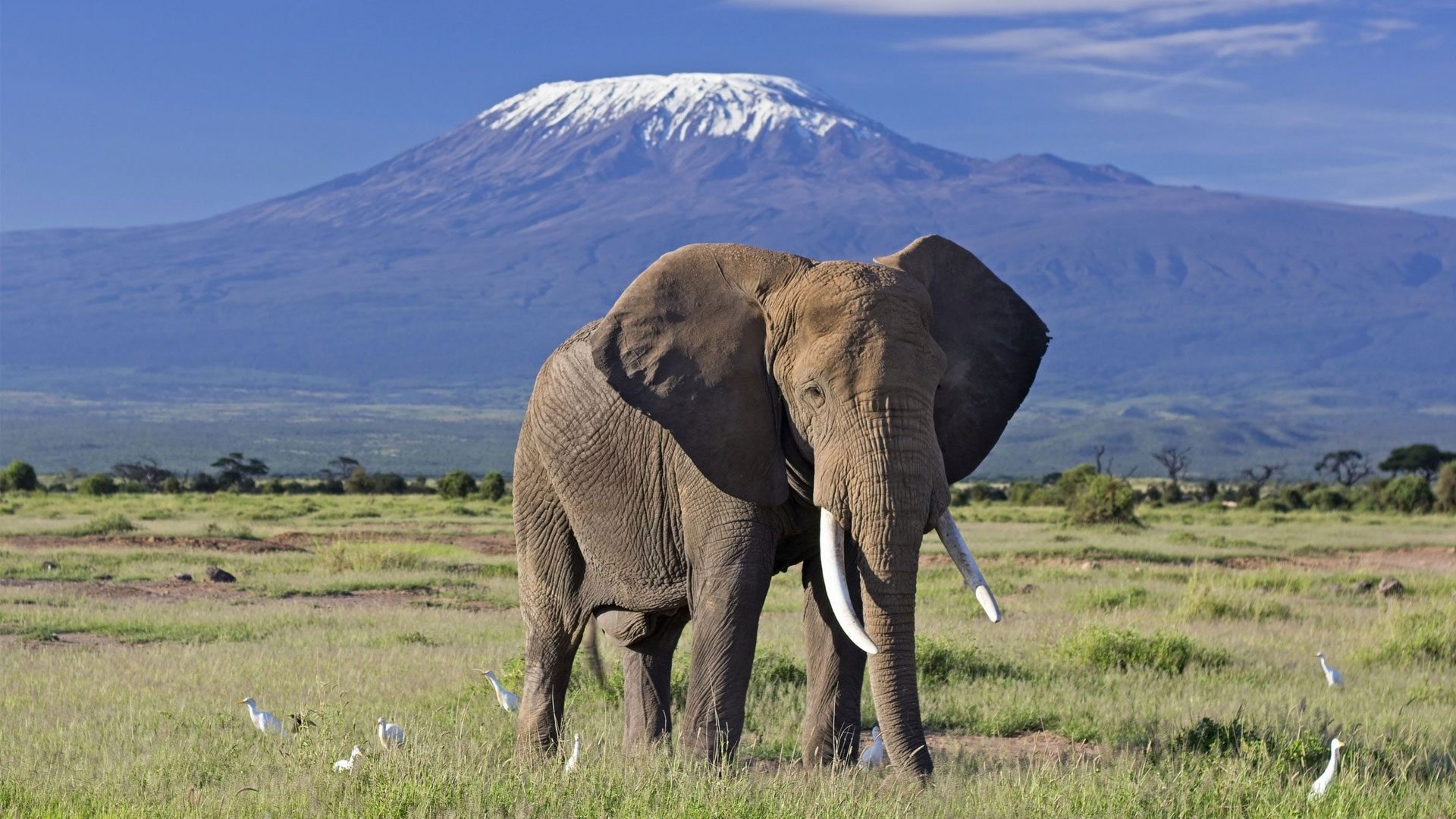 Scenery on the Day Trip Amboseli trip