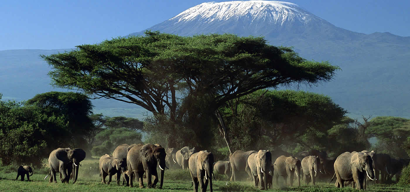 Scenery on the 2 Days 1 Night Trip to Amboseli trip