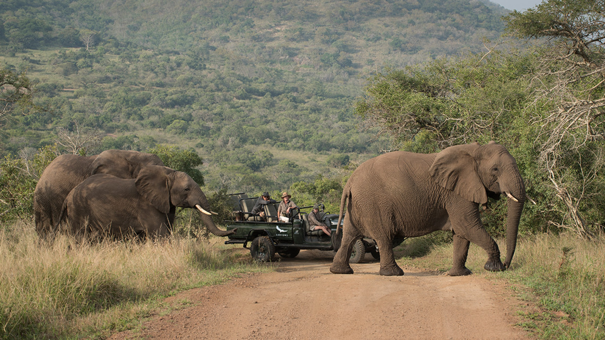Scenery on the Ol Pejeta Day Trip trip