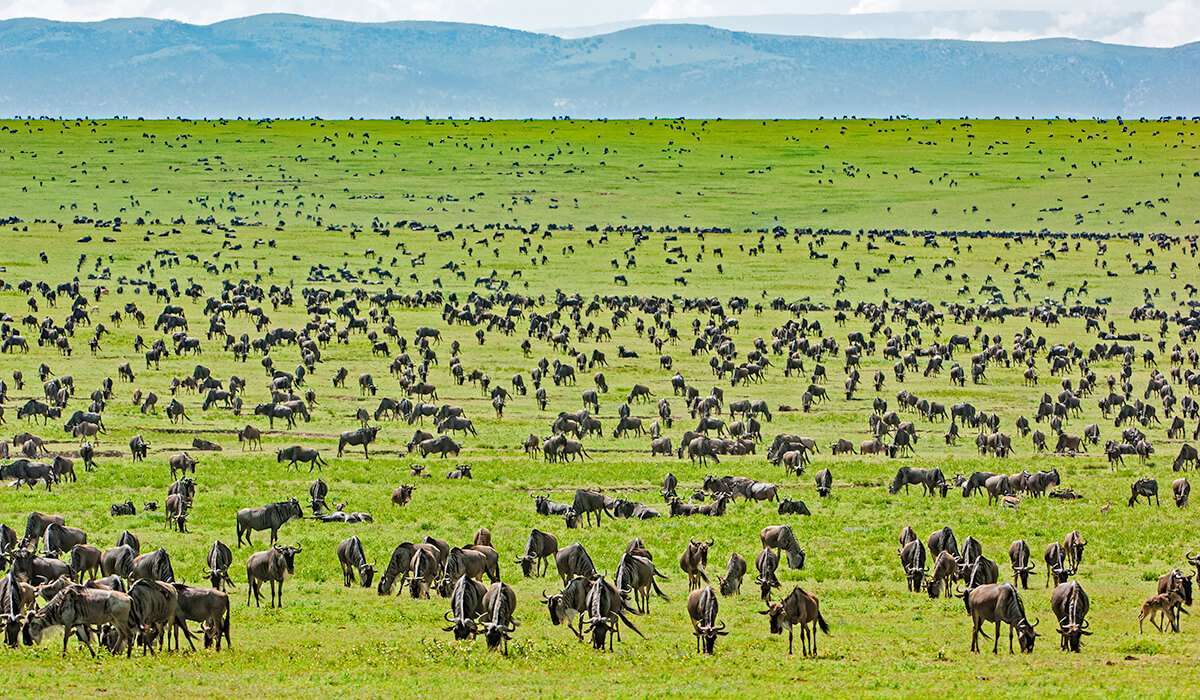 Scenery on the 6 Days Nairobi-Mara-Serengeti-Ngorongoro-Nairobi trip