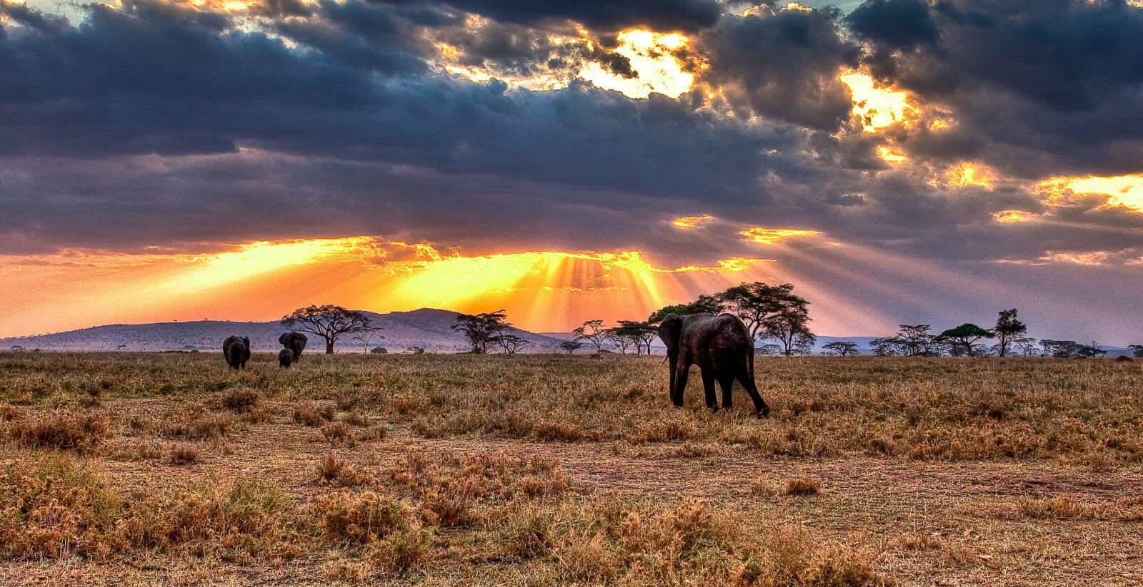 Scenery on the 13 Days Kenya-Tanzania trip