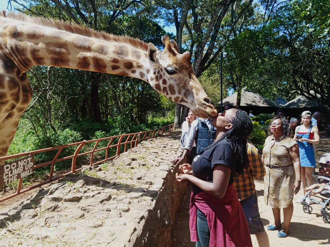 Scenery on the Karen Blixen + Giraffe Centre trip