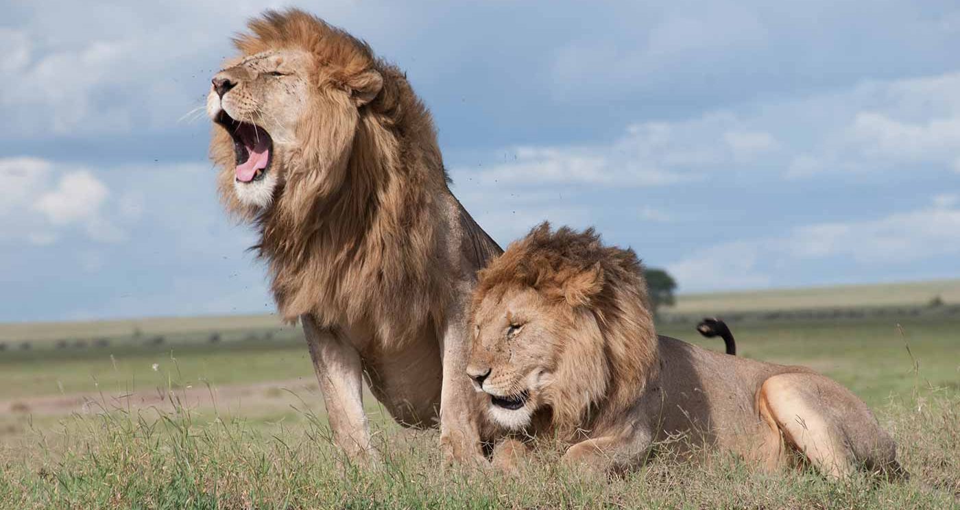 Scenery on the Nairobi National Park trip